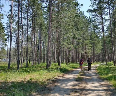 McKinley Trail Camp for the Shore to Shore Horseback and Hiking Trail