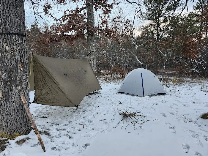 Bear Island Campsite Picture 1