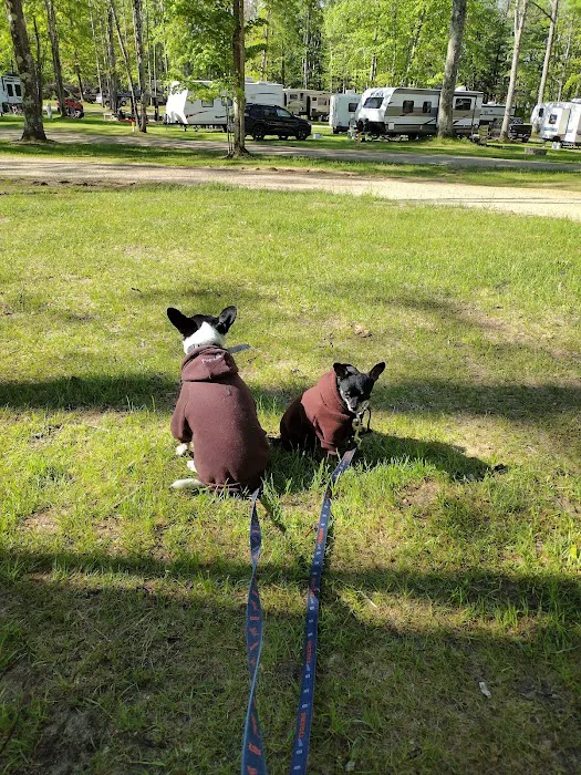 Peterson Creek Campground Picture 8