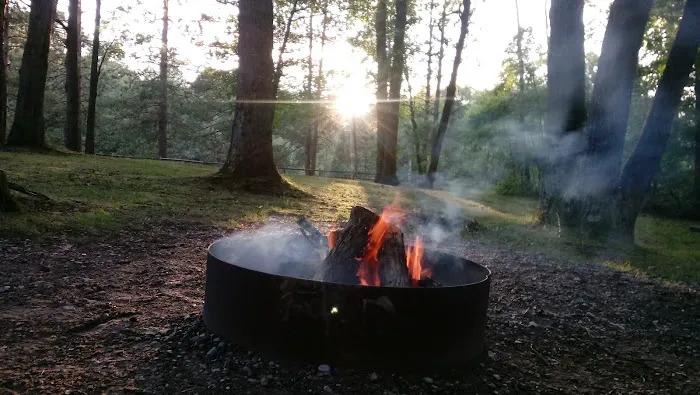 Peterson Creek Campground Picture 9