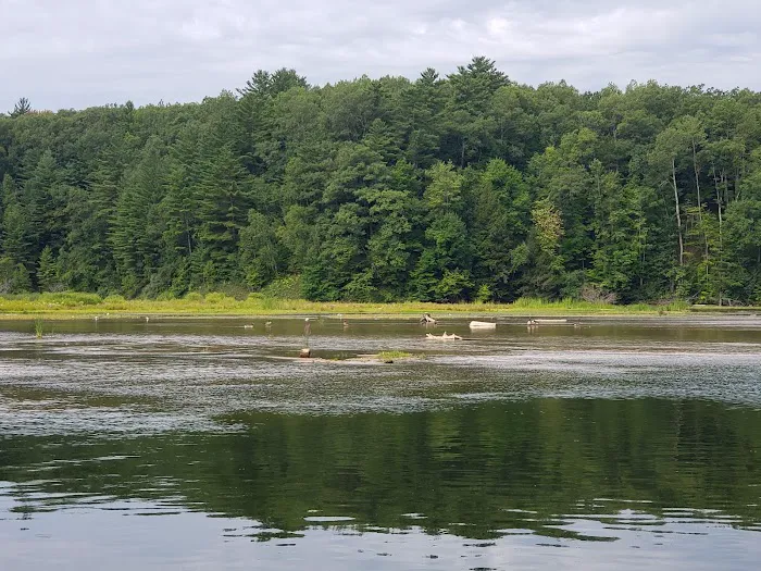 Loomis Landing Campground and Marina Picture 6