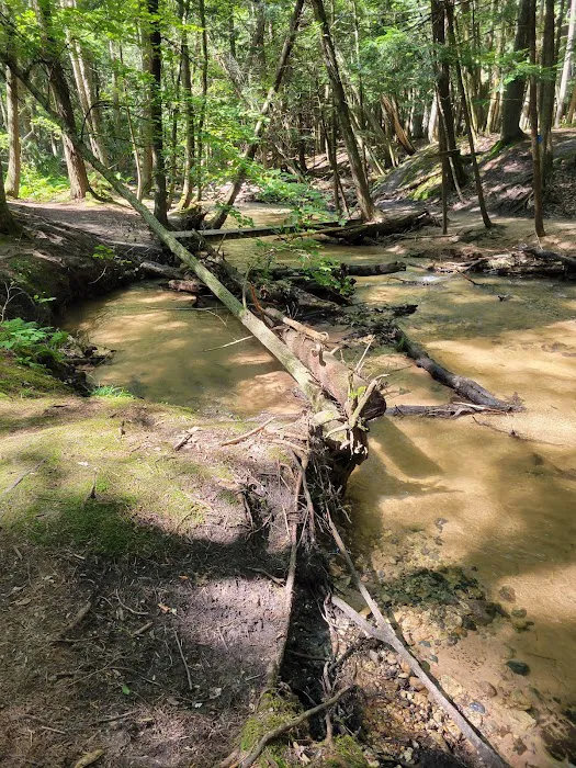 Red Bridge River Access Picture 10