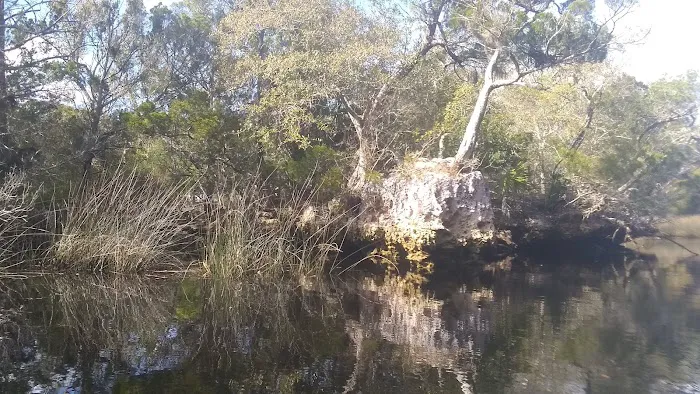 Steinhatchee Village RV Park Picture 6