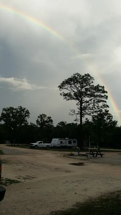 Steinhatchee Village RV Park Picture 7