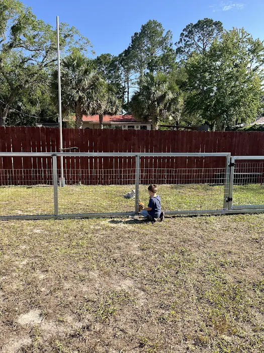 Steinhatchee Village RV Park Picture 5