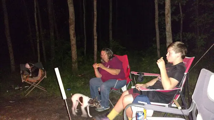 US Forest Service Picture 2