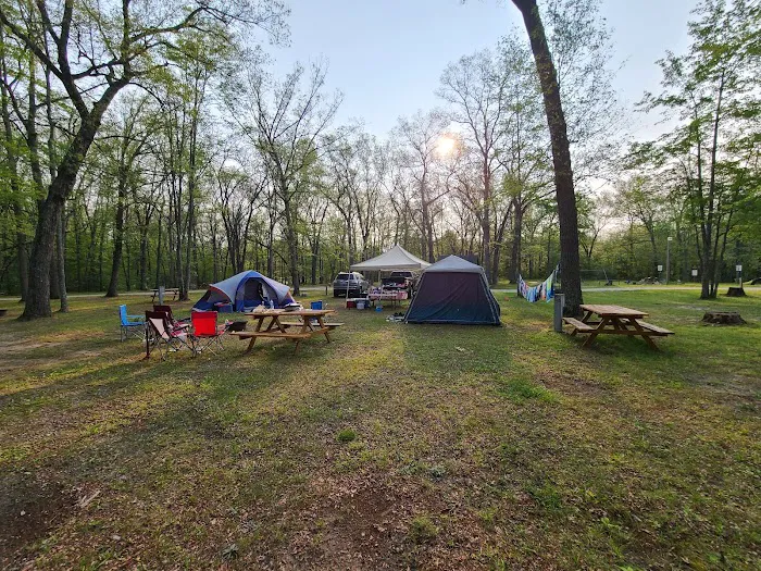 Heart of the Forest RV Park Picture 1