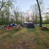 Heart of the Forest RV Park ico