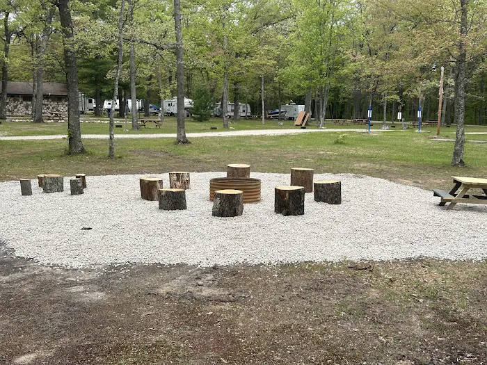 Heart of the Forest RV Park Picture 5
