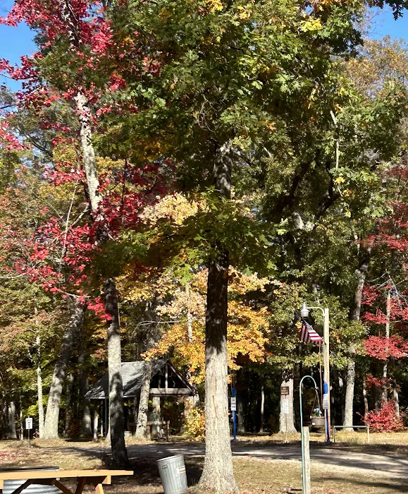 Heart of the Forest RV Park Picture 9