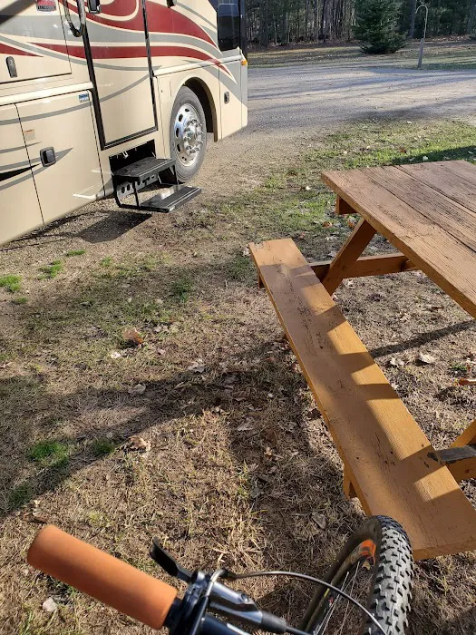 Heart of the Forest RV Park Picture 7