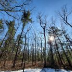 Bear Track Campground