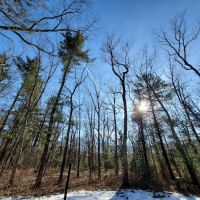Bear Track Campground ico