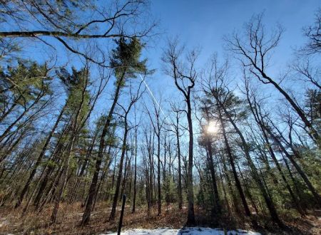 Bear Track Campground