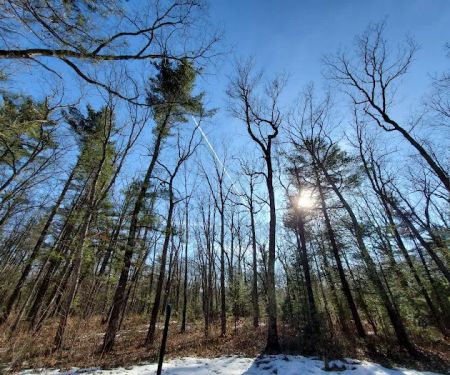 Bear Track Campground