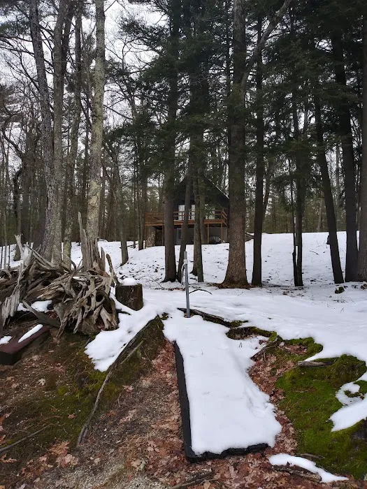 Bear Track Campground Picture 3