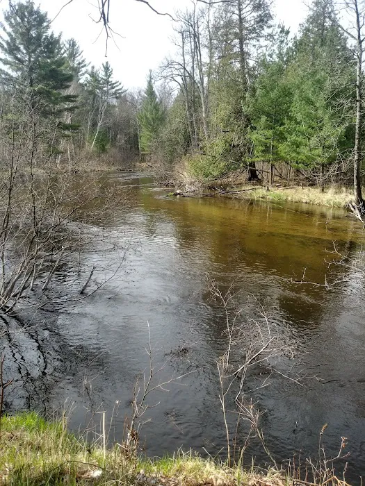 Bear Track Campground Picture 5