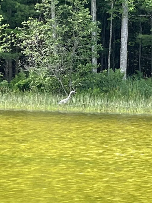 Pine Lake Campground Picture 3