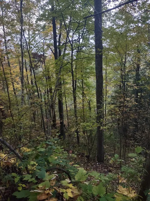 Tippy Dam Campground Picture 5