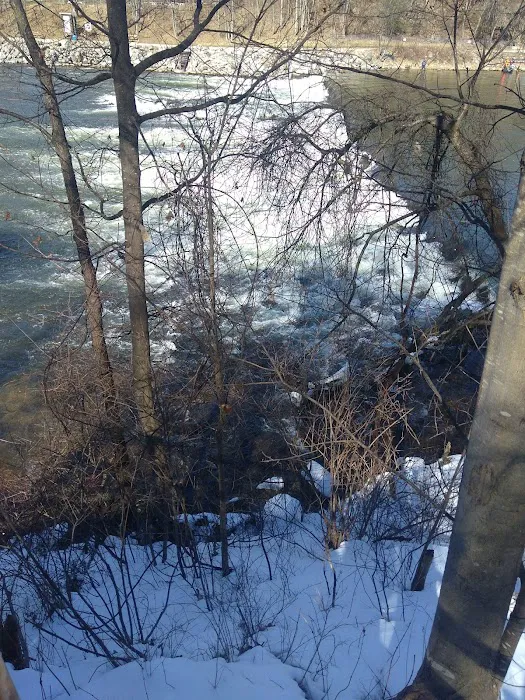 Tippy Dam Campground Picture 4