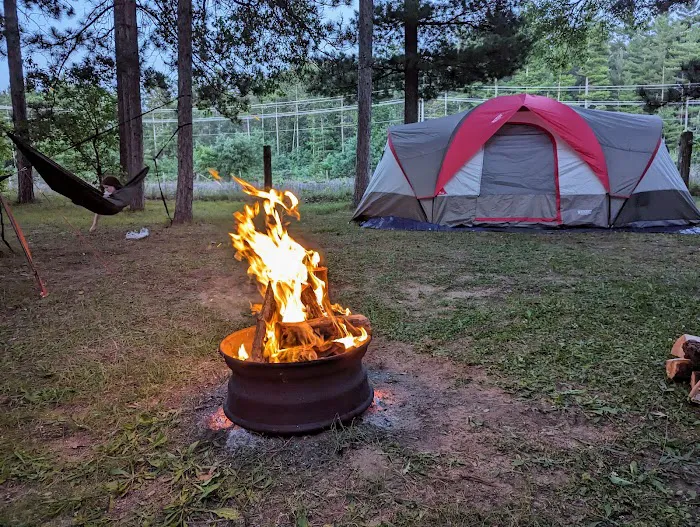 Tippy Dam Campground Picture 9