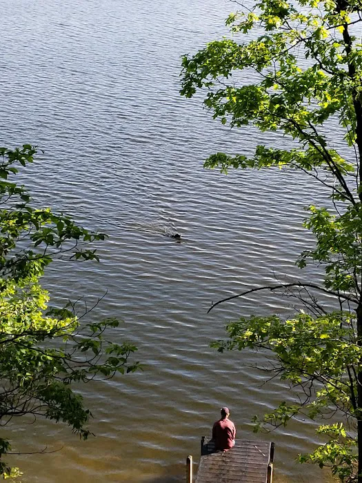 Tippy Dam Campground-MDNR Picture 10
