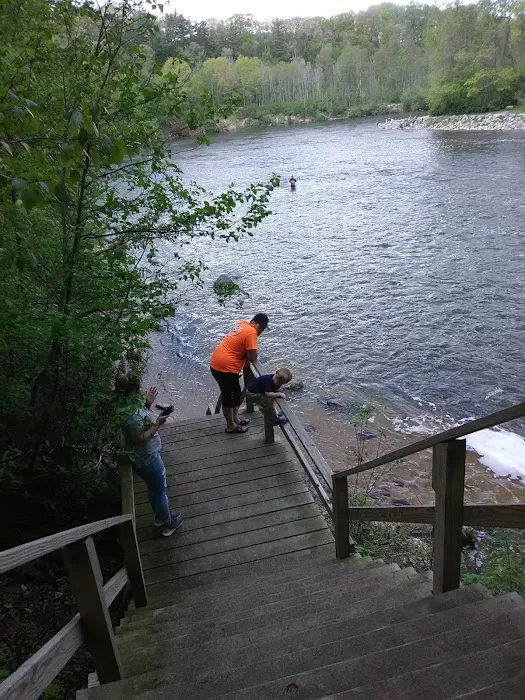 Tippy Dam Campground-MDNR Picture 6