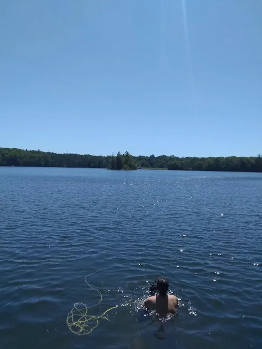 Tippy Dam Campground-MDNR Picture 5