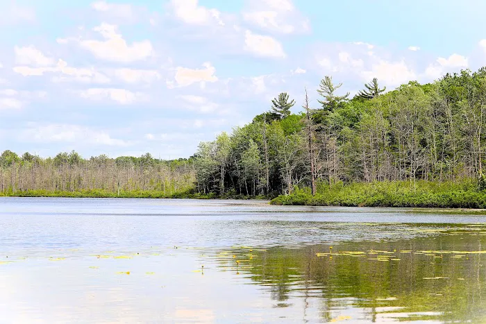 Spring Lake State Forest Campground Picture 1