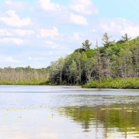 Spring Lake State Forest Campground ico