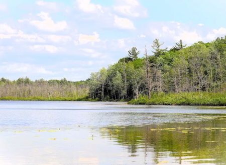 Spring Lake State Forest Campground