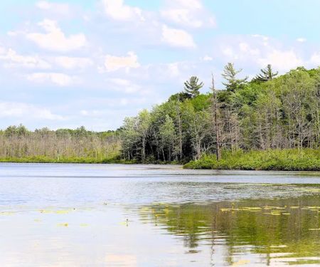 Spring Lake State Forest Campground