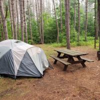Baxter Bridge State Forest Campground ico