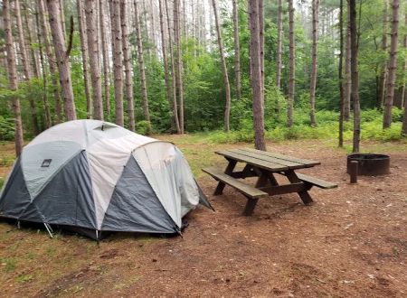 Baxter Bridge State Forest Campground