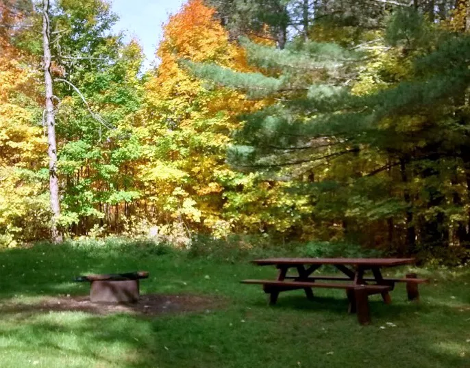 Baxter Bridge State Forest Campground Picture 2
