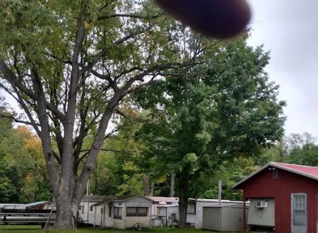 Burton's Trailer Park