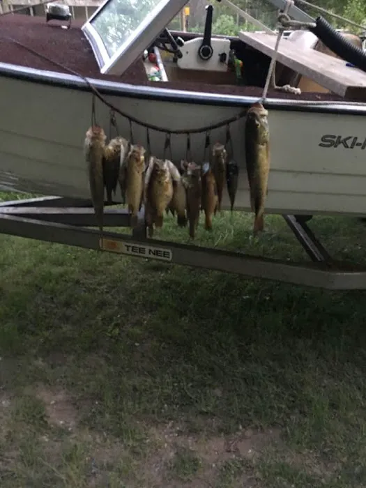 Burton's Trailer Park Picture 2