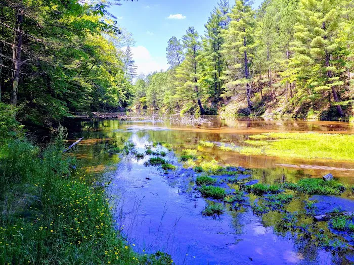Seaton Creek Campground Picture 4