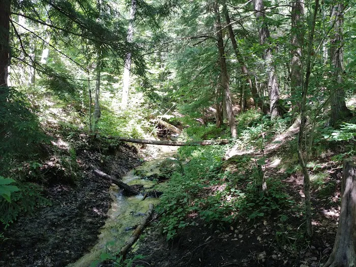 Seaton Creek Campground Picture 7