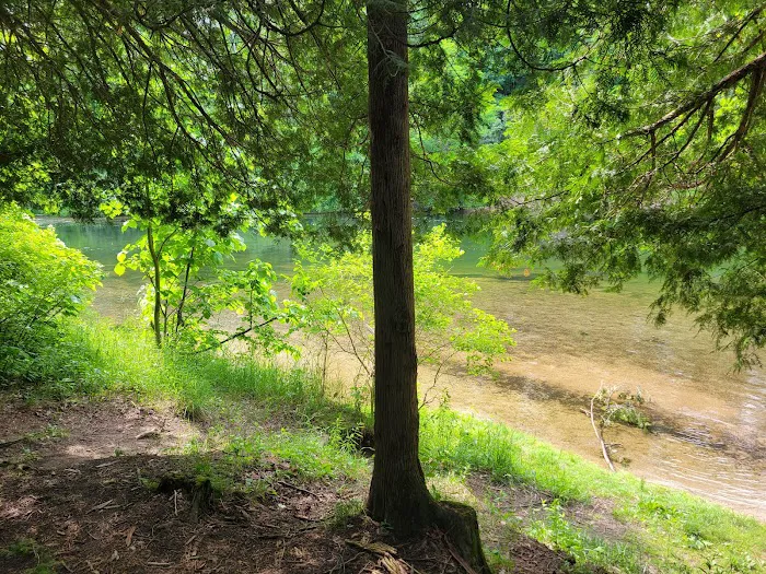 Seaton Creek Campground Picture 9