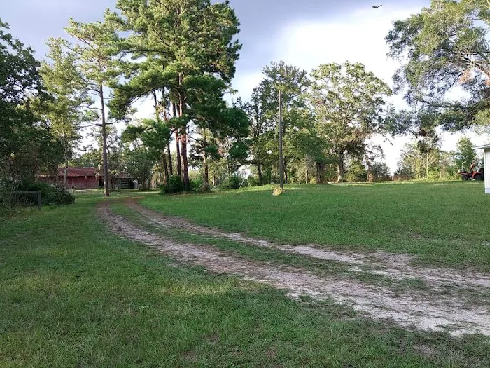 Georgia Bend RV Park Picture 4