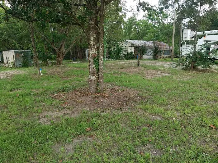 Georgia Bend RV Park Picture 2