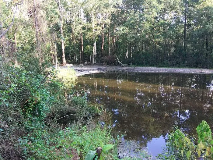 Georgia Bend RV Park Picture 3