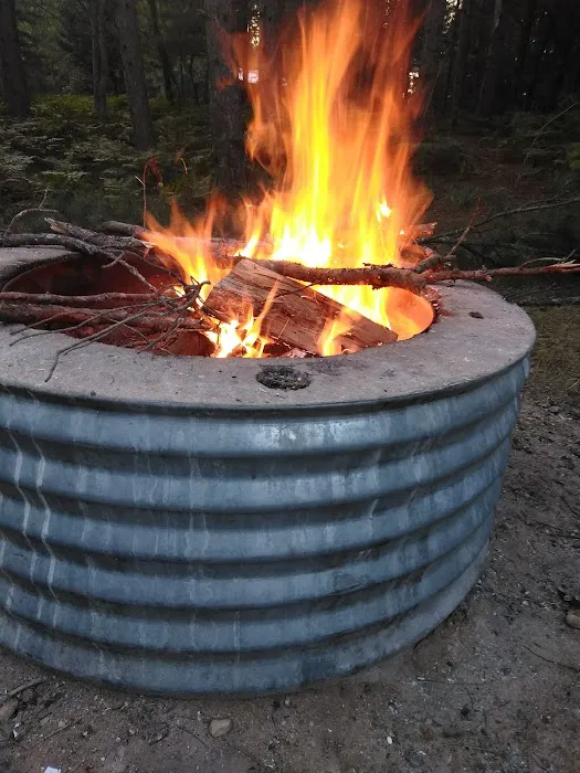 Scheck's Place State Forest Campground Picture 4