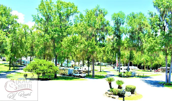 Ocala North RV Resort Picture 8