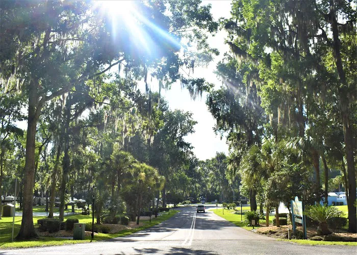 Ocala North RV Resort Picture 10