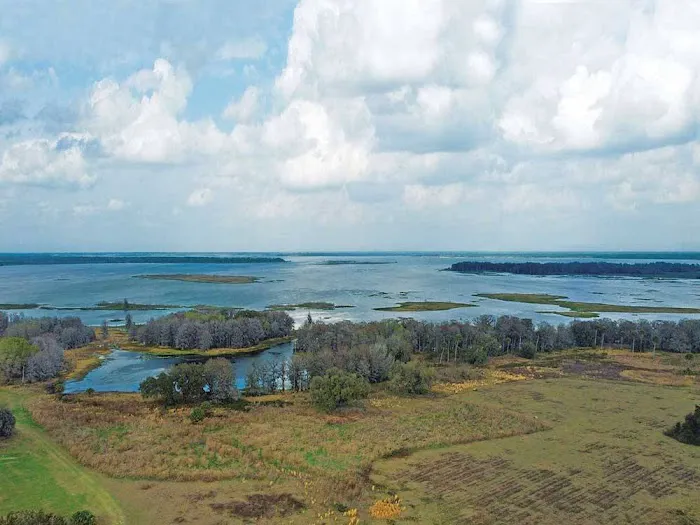 The RV Resort at Orange Lake Picture 6