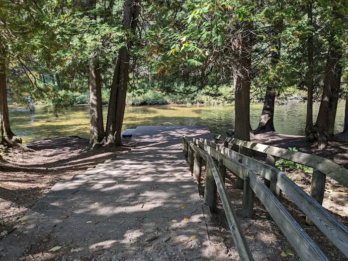 Forks State Forest Campground Picture 3