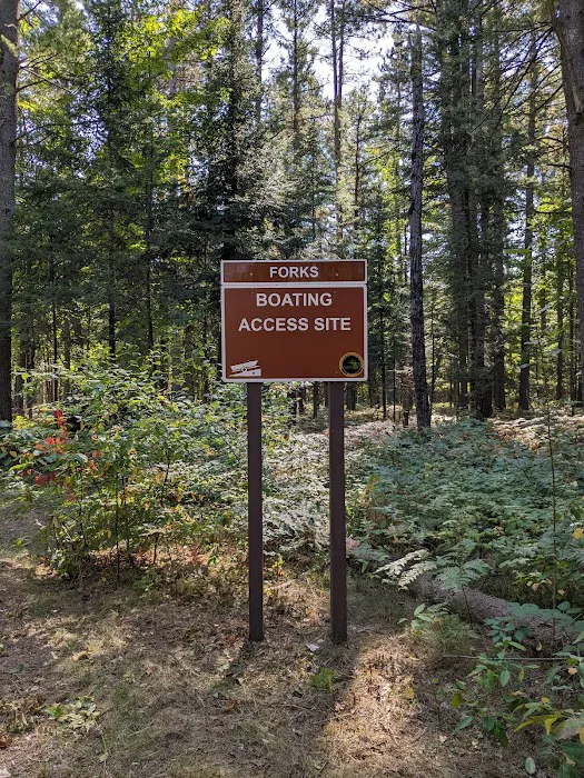 Forks State Forest Campground Picture 4