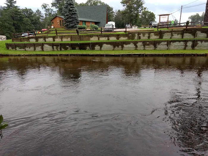Manistee River Bridge State Forest Campground Picture 2